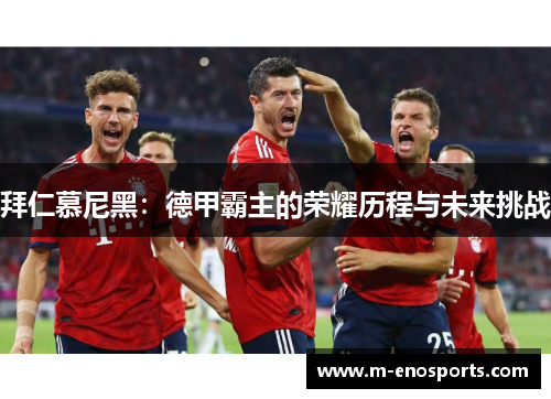 拜仁慕尼黑：德甲霸主的荣耀历程与未来挑战