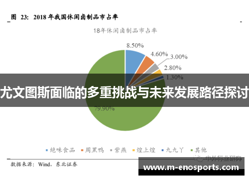 尤文图斯面临的多重挑战与未来发展路径探讨