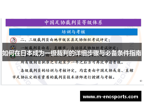 如何在日本成为一级裁判的详细步骤与必备条件指南