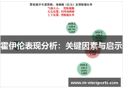 霍伊伦表现分析：关键因素与启示