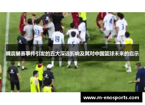 魏震禁赛事件引发的五大深远影响及其对中国篮球未来的启示