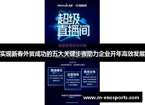 实现新春外贸成功的五大关键步骤助力企业开年高效发展