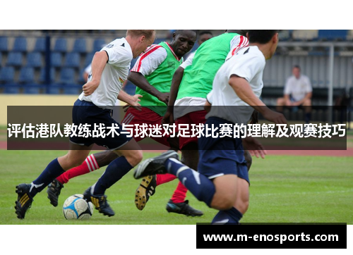 评估港队教练战术与球迷对足球比赛的理解及观赛技巧