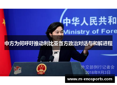 中方为何呼吁推动利比亚各方政治对话与和解进程