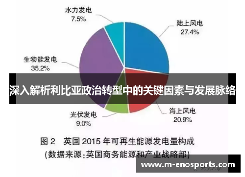 深入解析利比亚政治转型中的关键因素与发展脉络