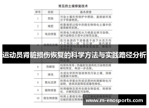 运动员肾脏损伤恢复的科学方法与实践路径分析